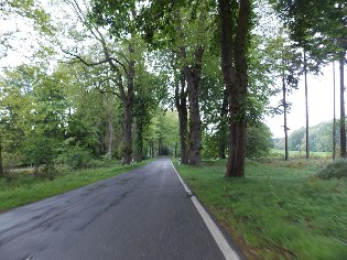 Unterwegs nach Dickend&ouml;rn