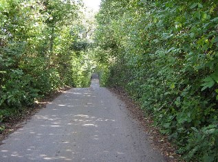 Achterbahn Hexenberg