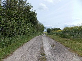 Betonsteingepflasterter Spurweg nach H&uuml;holz