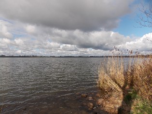 Blick auf das Windebyer Noor