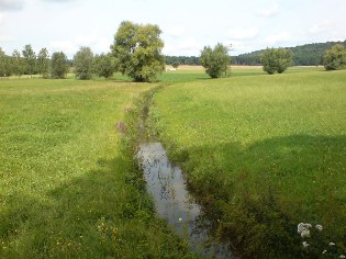 Die junge Altm&uuml;hl am Altm&uuml;hltal-Radweg