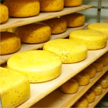 Bauernk&auml;serei Wolters in Bandelow