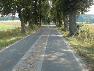 Unterwegs auf dem Radweg Berlin - Usedom: Stra&szlig;e nach Parlow