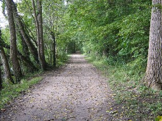 Wanderweg am Windebyer Noor